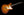 Novo 2025 Dealer Limited Chambered Serus P2 - Faded Tea Burst