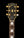 Gibson J-200 Artist