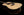 Collings D2H