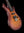 PRS 509