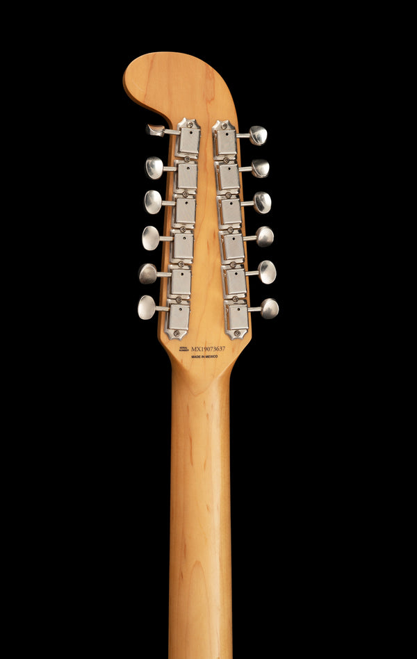 Fender Alternate Reality Electric XII
