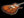 Knaggs Kenai HB - Hollow Body