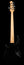 Gibson EB-5 T Bass