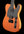 Suhr Andy Wood Signature 10th Anniversary Modern T