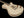 Knaggs Eric Steckel Kenai T/S - Creme