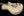 Knaggs Eric Steckel Kenai T/S - Creme