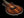 Taylor T5z Custom Koa