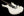 Suhr Custom Modern - White