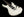 Suhr Custom Modern - White
