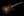 Shabat Lion STP - Tobacco Burst