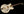 Gibson ES-335 DD Double Diamond