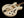 Gibson ES-335 DD Double Diamond