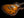 Knaggs Eric Steckel Kenai T/S