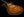 Knaggs Eric Steckel Kenai T/S