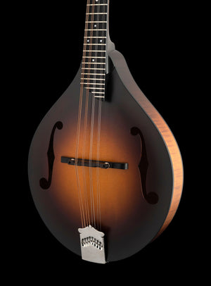 Collings MT