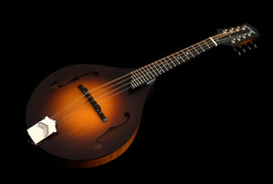 Collings MT