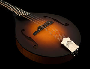 Collings MT