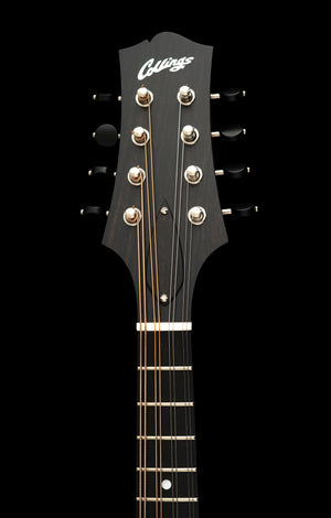 Collings MT