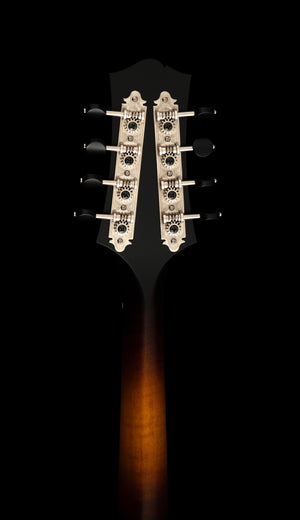 Collings MT
