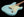 Xotic California Classic XSC-1