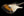 Xotic California Classic XSC-1