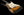 Xotic California Classic XSC-1