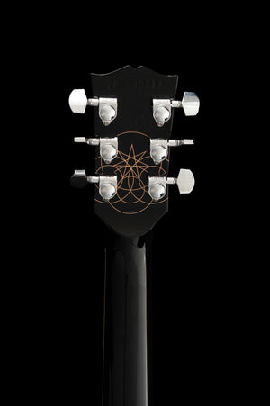 Gibson Adam Jones Les Paul Standard