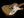 Fender Custom Shop LTD 60s Telecaster Custom Thinline Relic