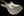 Suhr Custom Classic S