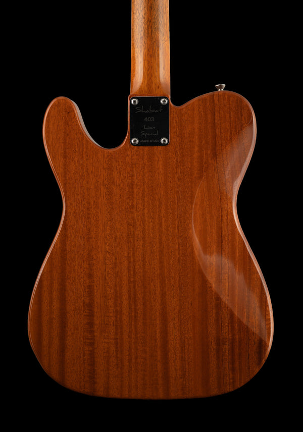 Shabat Lion Special owned by Tim Pierce