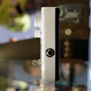 Teisco Fuzz