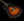 Gibson Centennial Collection 1940 J-55