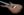 Tom Anderson Angel - Walnut Top