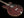 Gibson ES-335TD