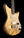 Galasso Instruments The FuZe Hojarasca