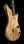 Galasso Instruments The FuZe Hojarasca