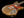 Galasso Instruments The FuZe Delta