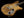 Galasso Instruments The FuZe Hojarasca