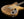 Galasso Instruments The FuZe Hojarasca