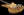 Galasso Instruments The FuZe Hojarasca