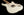 Xotic California Classic XSCPRO-2 Olympic White