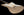 Fano JM6 Oltre - Firemist Gold