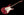 Tom Anderson Icon Classic - Candy Apple Red