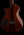 Taylor Solidbody Custom Koa Top