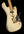Shabat Lynx DZ - Dweezil Zappa Model