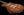 Taylor Solidbody Custom Koa Top