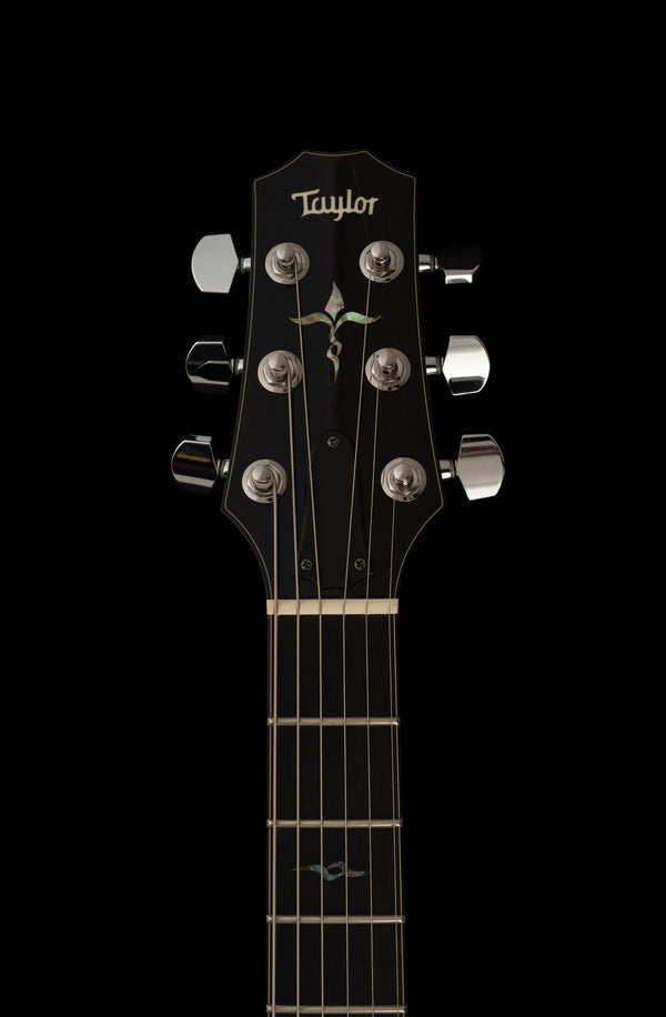 Taylor Solidbody Custom Koa Top