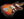 Fender Jazzmaster - 1966