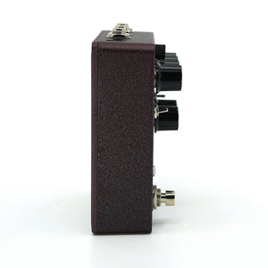 Asheville Music Tools Analoger Series ACV-1 Chorus/Vibrato Time Warping Device