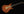 Knaggs Severn Trem GF3